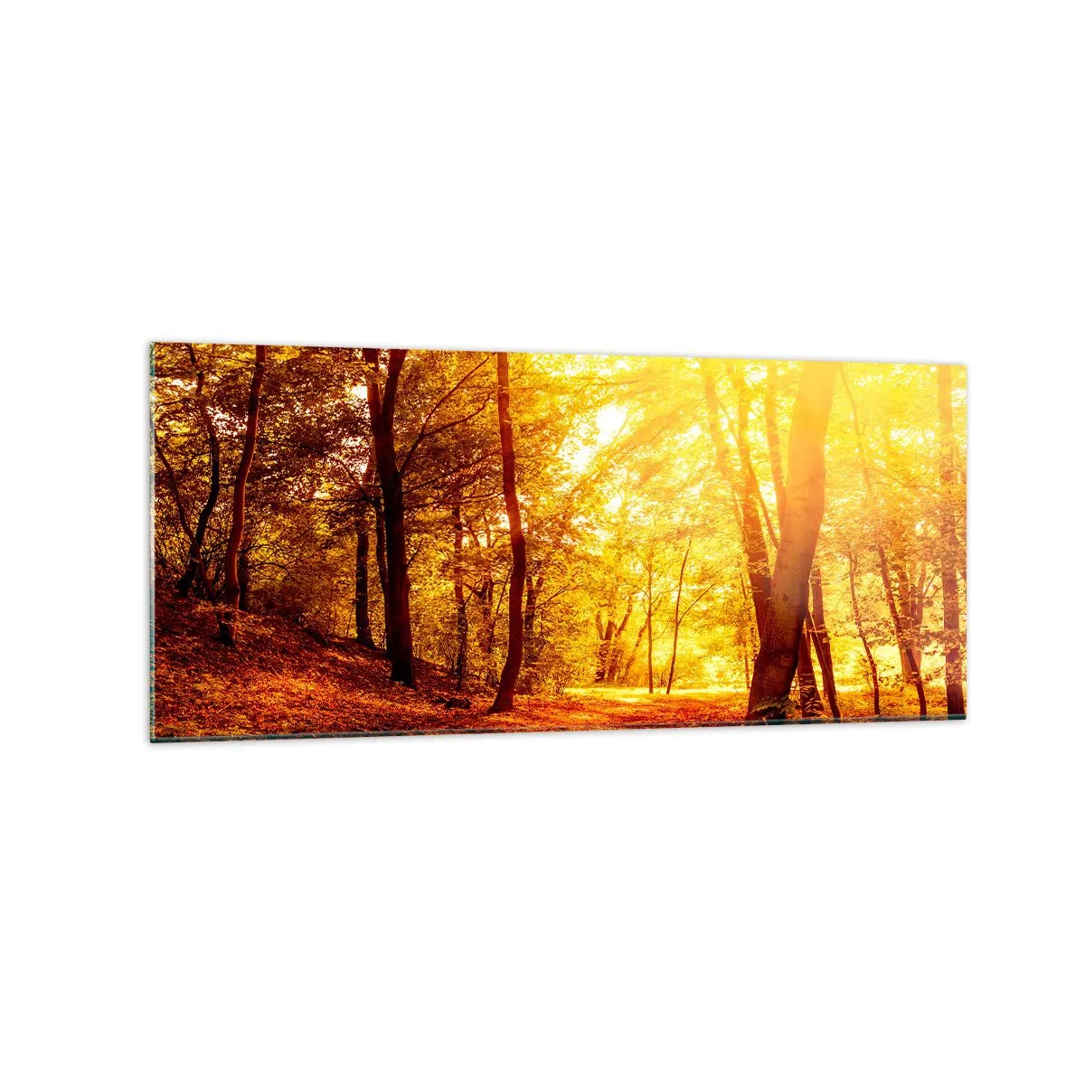 Glasbild - Bild auf glas - Herbstlichtung im goldenen Sonnenlicht mit einem Waldweg - 120x50cm - Auf die goldene Lichtung - Moderne Wanddekoration für Wohnzimmer und Schlafzimmer ARTTOR