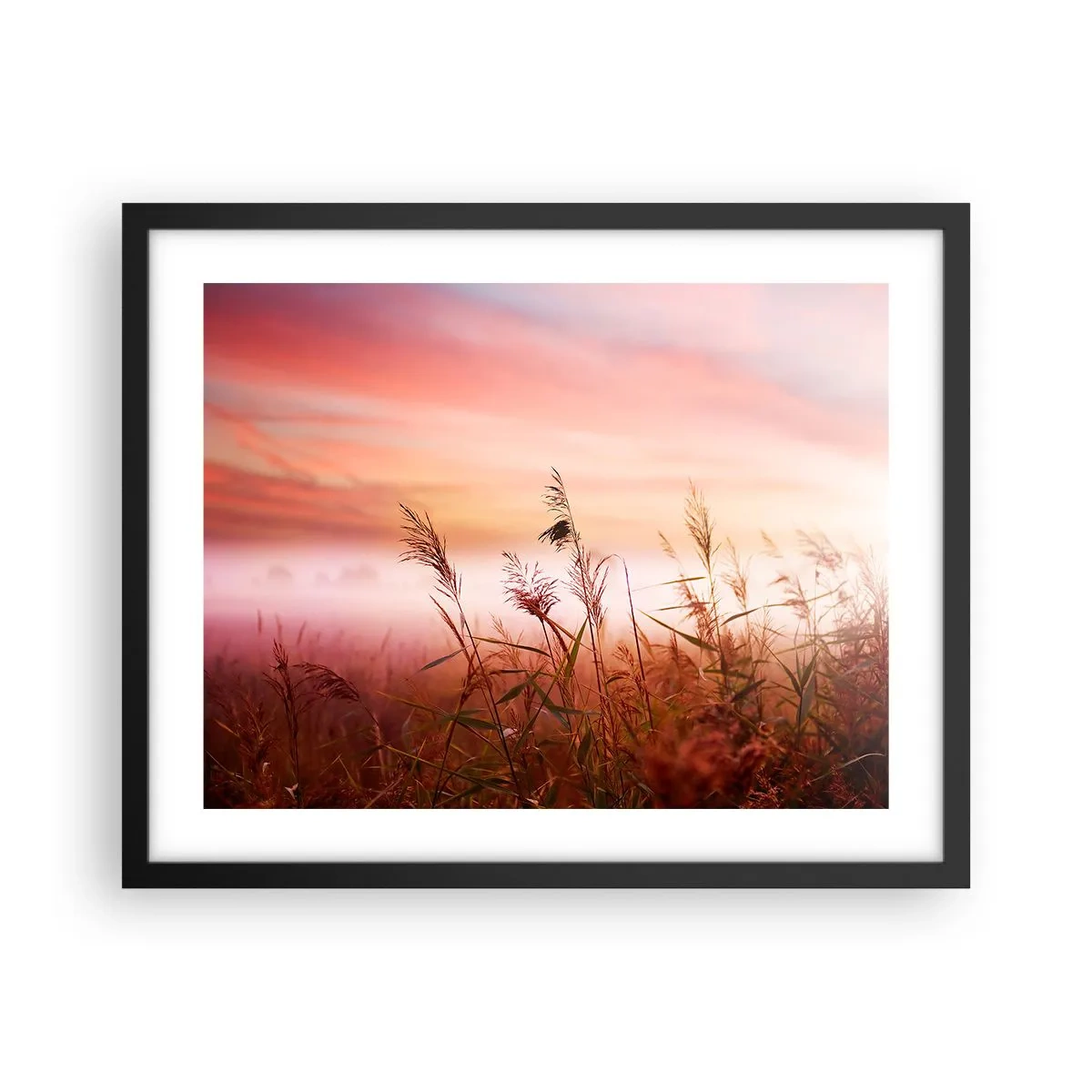 Poster in einem schwarzem Rahmen - Drachen, Löwenzahn, Wind - 50x40 cm