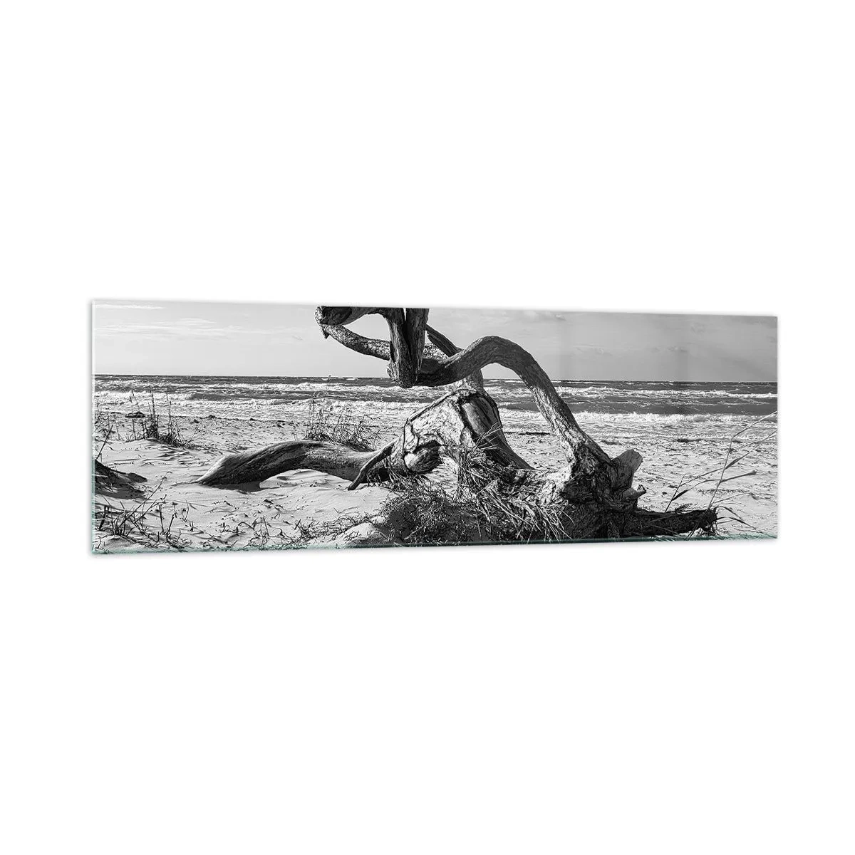 Glasbild - Bild auf glas - Schwarz-weiße Landschaft mit einem toten Baum am Strand - 160x50cm - Meeresskulptur - Moderne Wanddekoration für Wohnzimmer und Schlafzimmer ARTTOR