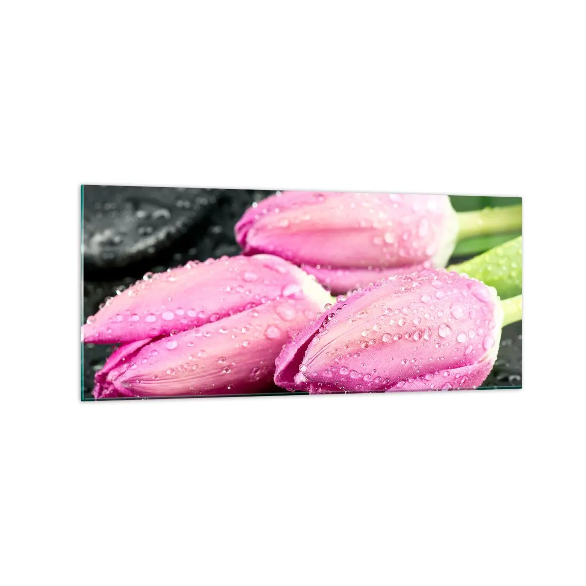 Glasbild - Bild auf glas - Drei rosa Tulpen mit Wassertropfen auf schwarzem Hintergrund - 120x50cm - Liladrei auf schwarzem Stein - Moderne Wanddekoration für Wohnzimmer und Schlafzimmer ARTTOR