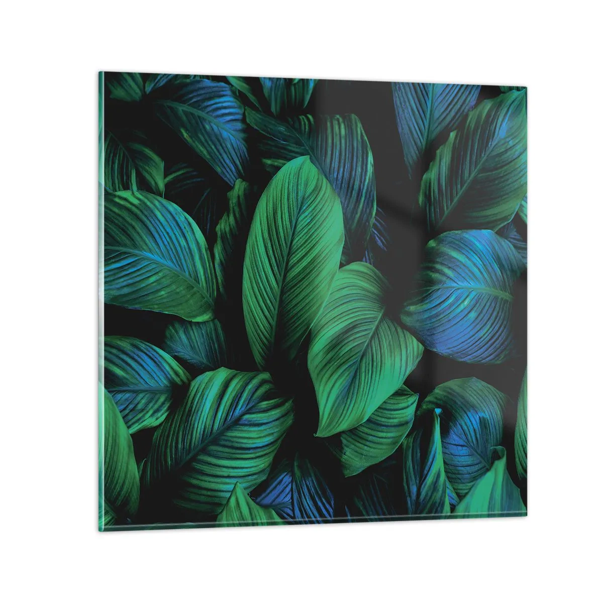 Glasbild - Bild auf glas - In der grünen Menge - 50x50 cm