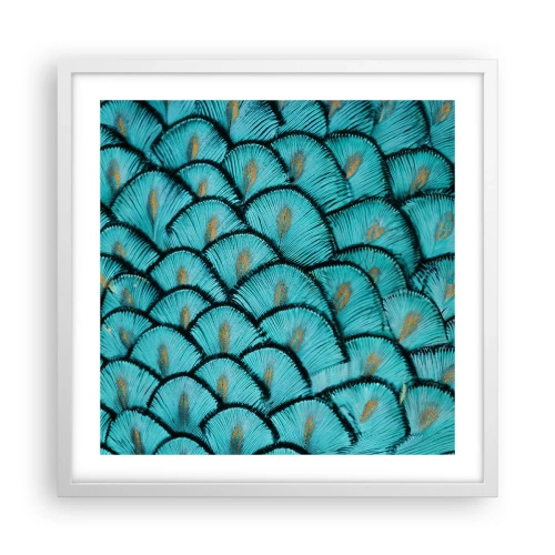 Poster in einem weißen Rahmen - Große Federgala - 50x50 cm