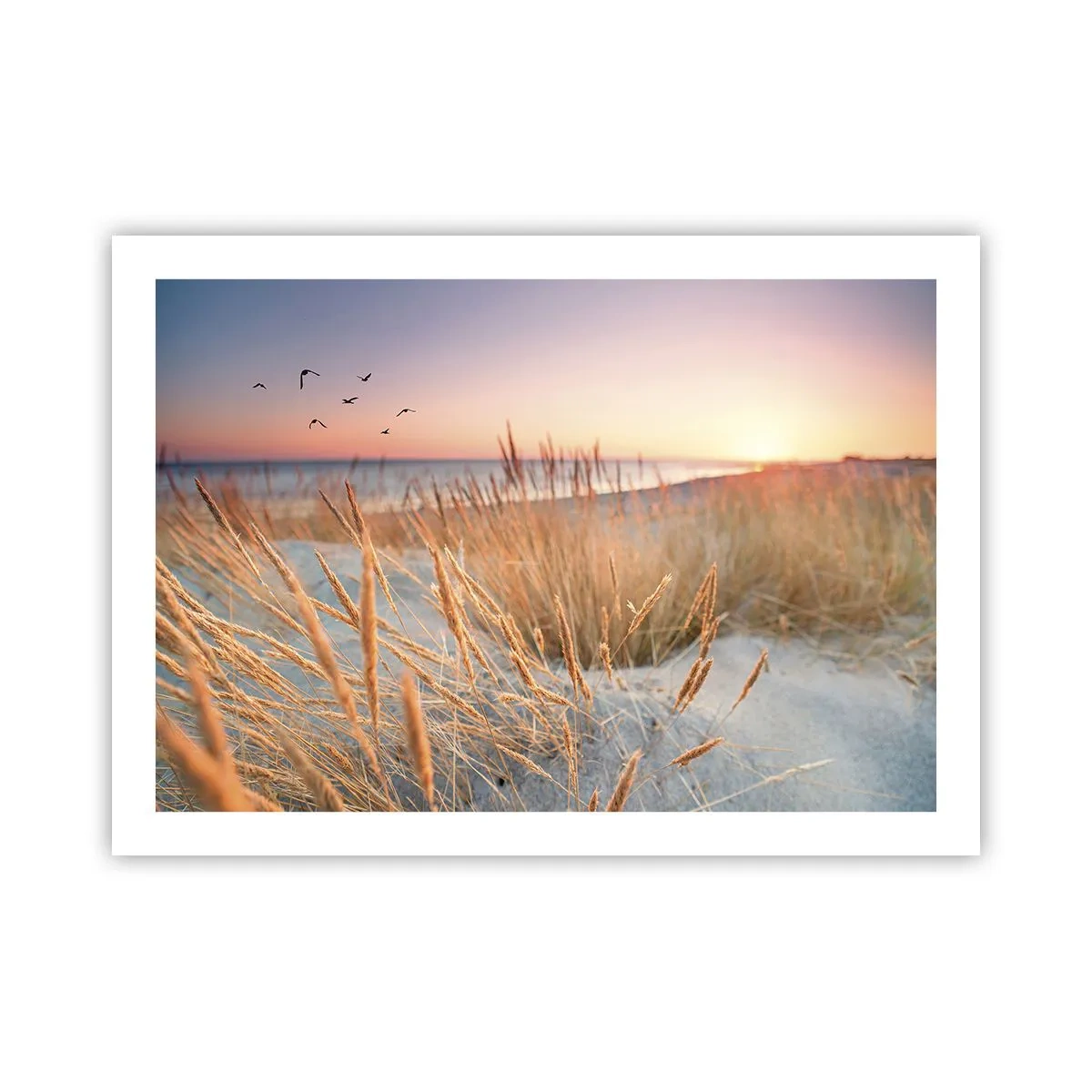 Poster - Das baltische Wiegenlied - 70x50 cm