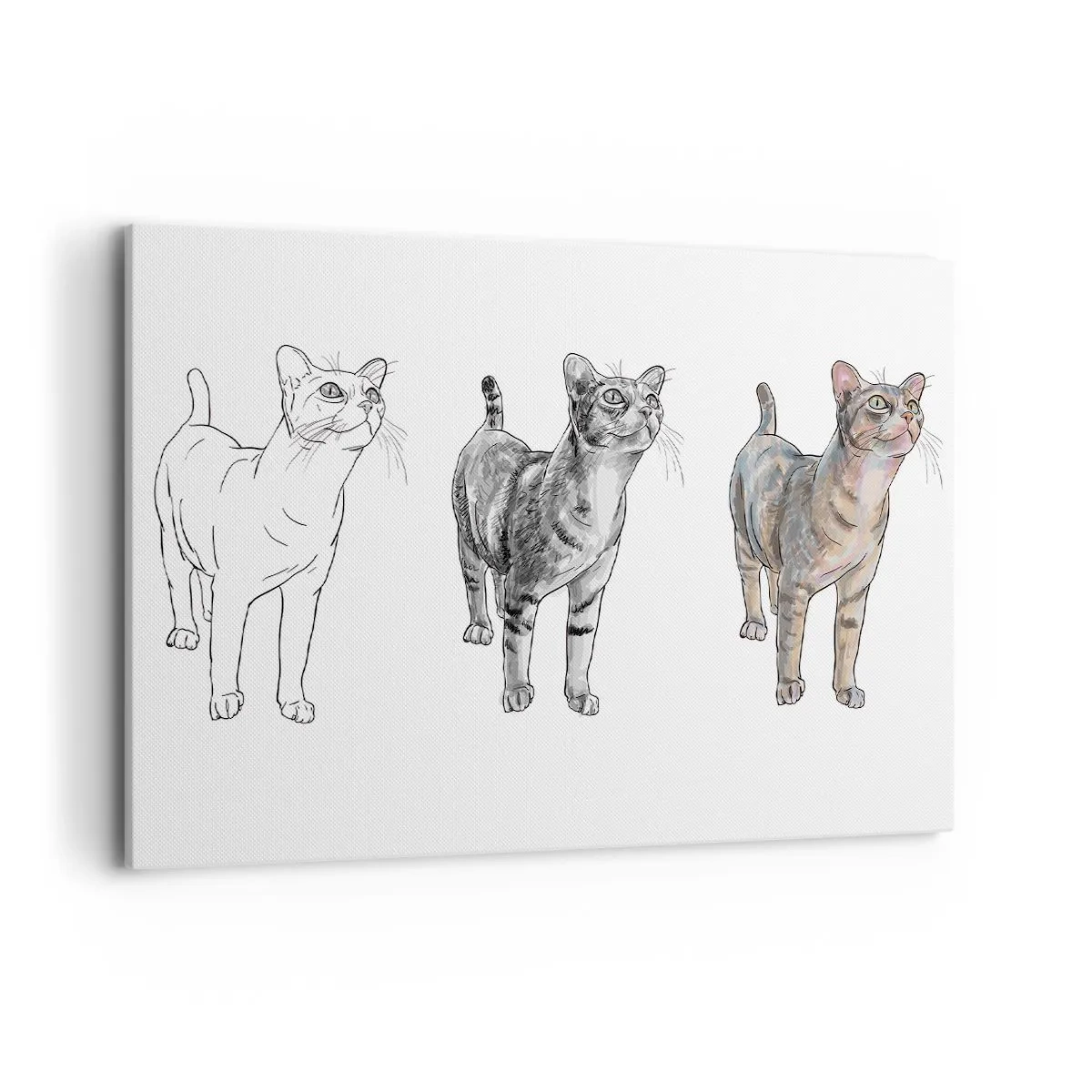 Bild auf Leinwand - Leinwandbild - Die Entwicklung einer Katzenzeichnung von der Skizze zur farbigen Form - 100x70cm - Zeichenunterricht - Moderne Wanddekoration für Wohnzimmer und Schlafzimmer ARTTOR