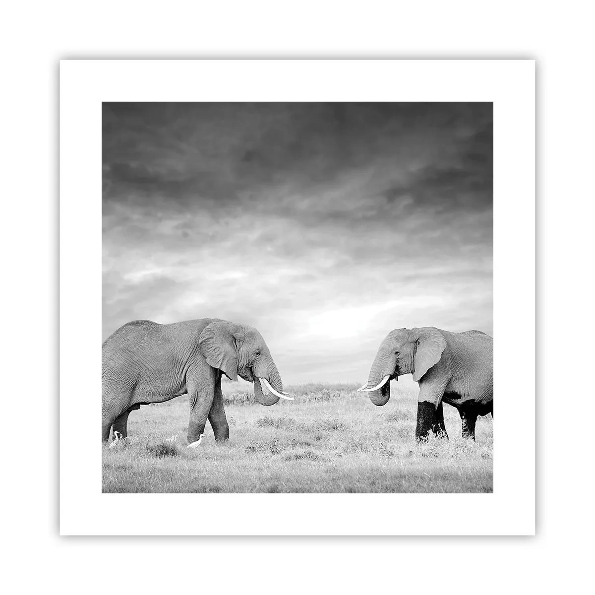 Poster - Grau ist schön - 40x40 cm