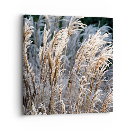 Bild auf Leinwand - Leinwandbild - Gekleidet mit Frost - 40x40 cm