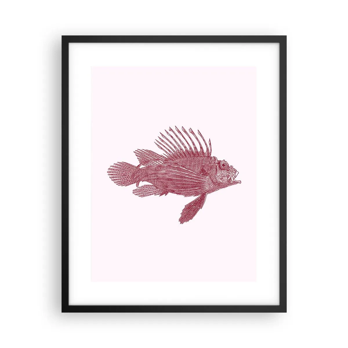 Poster in einem schwarzem Rahmen - Bewohner exotischer Gewässer - 40x50 cm