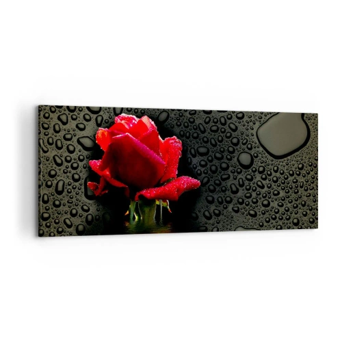 Bild auf Leinwand - Leinwandbild - Rote Rose mit Wassertropfen auf dunklem Hintergrund - 120x50cm - rot und Schwarz - Moderne Wanddekoration für Wohnzimmer und Schlafzimmer ARTTOR