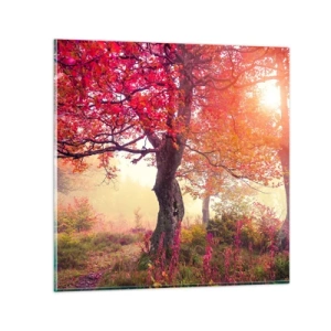 Glasbild - Bild auf glas - Blühende Raserei - 50x50 cm