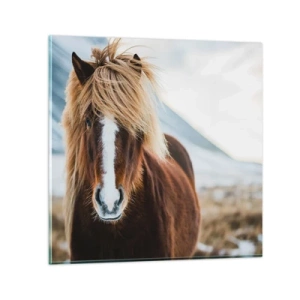 Glasbild - Bild auf glas - Spürst du die Freiheit? - 60x60 cm