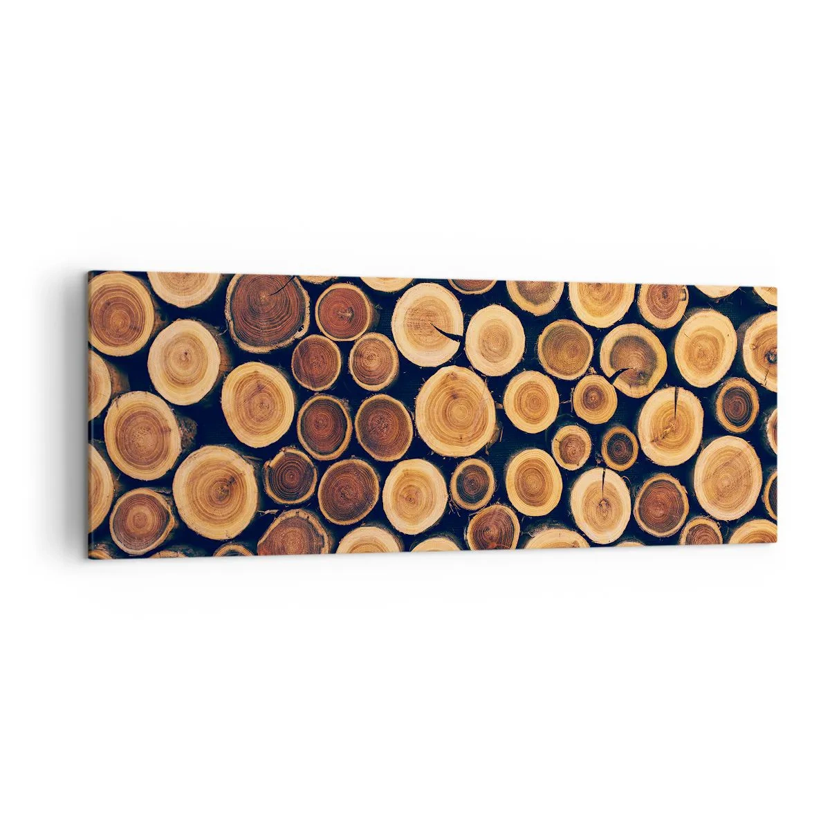 Bild auf Leinwand - Leinwandbild - Muster aus Querschnitten von Holzstämmen - 140x50cm - Wie alt sehe ich aus? - Moderne Wanddekoration für Wohnzimmer und Schlafzimmer ARTTOR