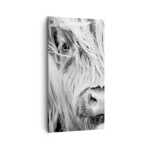 Bild auf Leinwand - Leinwandbild - Schottische Wildheit - 55x100 cm