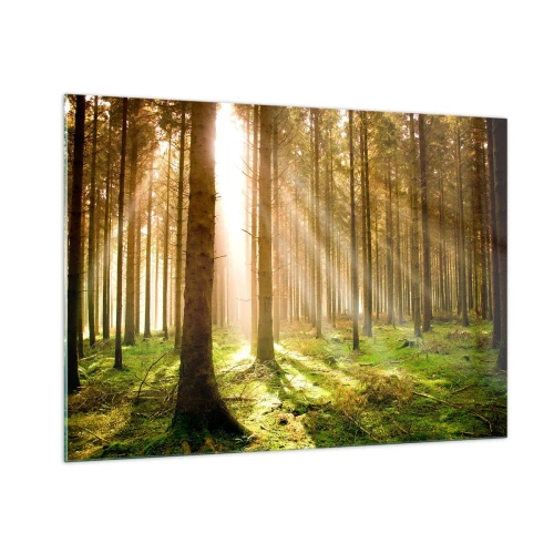 Glasbild - Bild auf glas - Sonnenstrahlen dringen durch die Bäume im Wald - 100x70cm - Die Elfen werden bald erscheinen - Moderne Wanddekoration für Wohnzimmer und Schlafzimmer ARTTOR