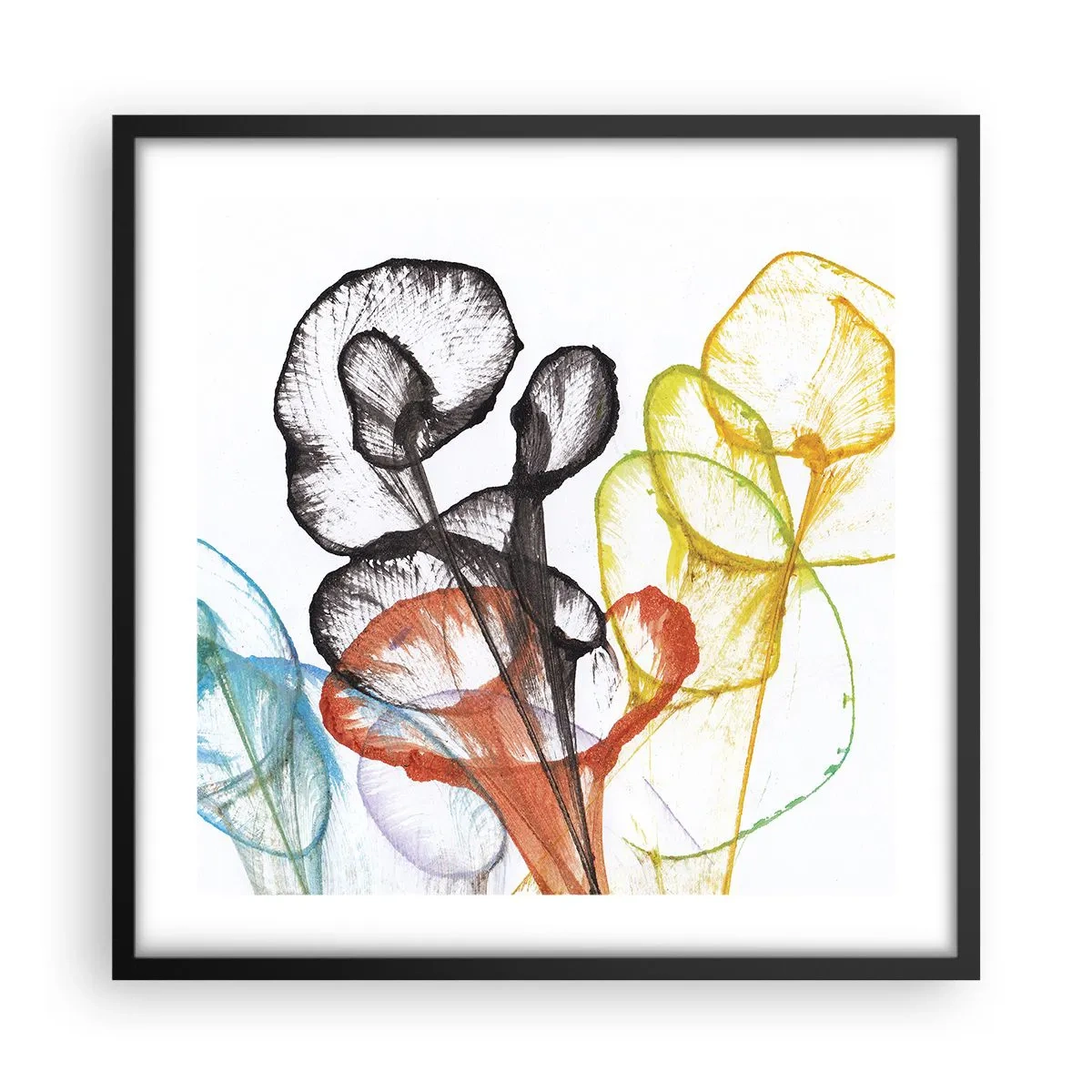 Poster in einem schwarzem Rahmen - Blumen mit Seele - 50x50 cm