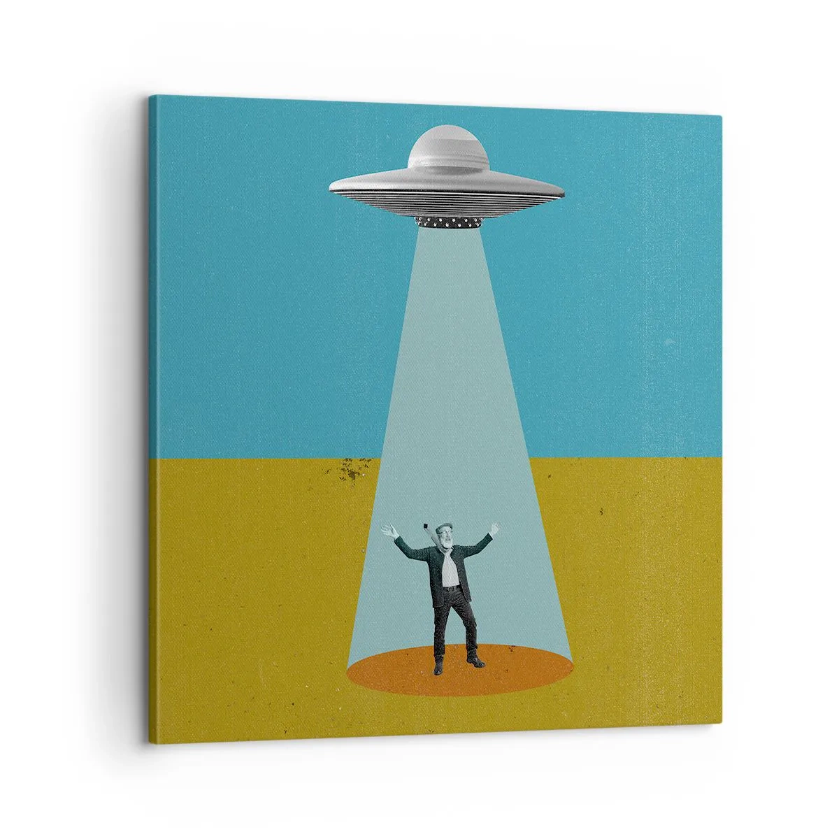 Bild auf Leinwand - Leinwandbild - Nahe Begegnung - 60x60 cm