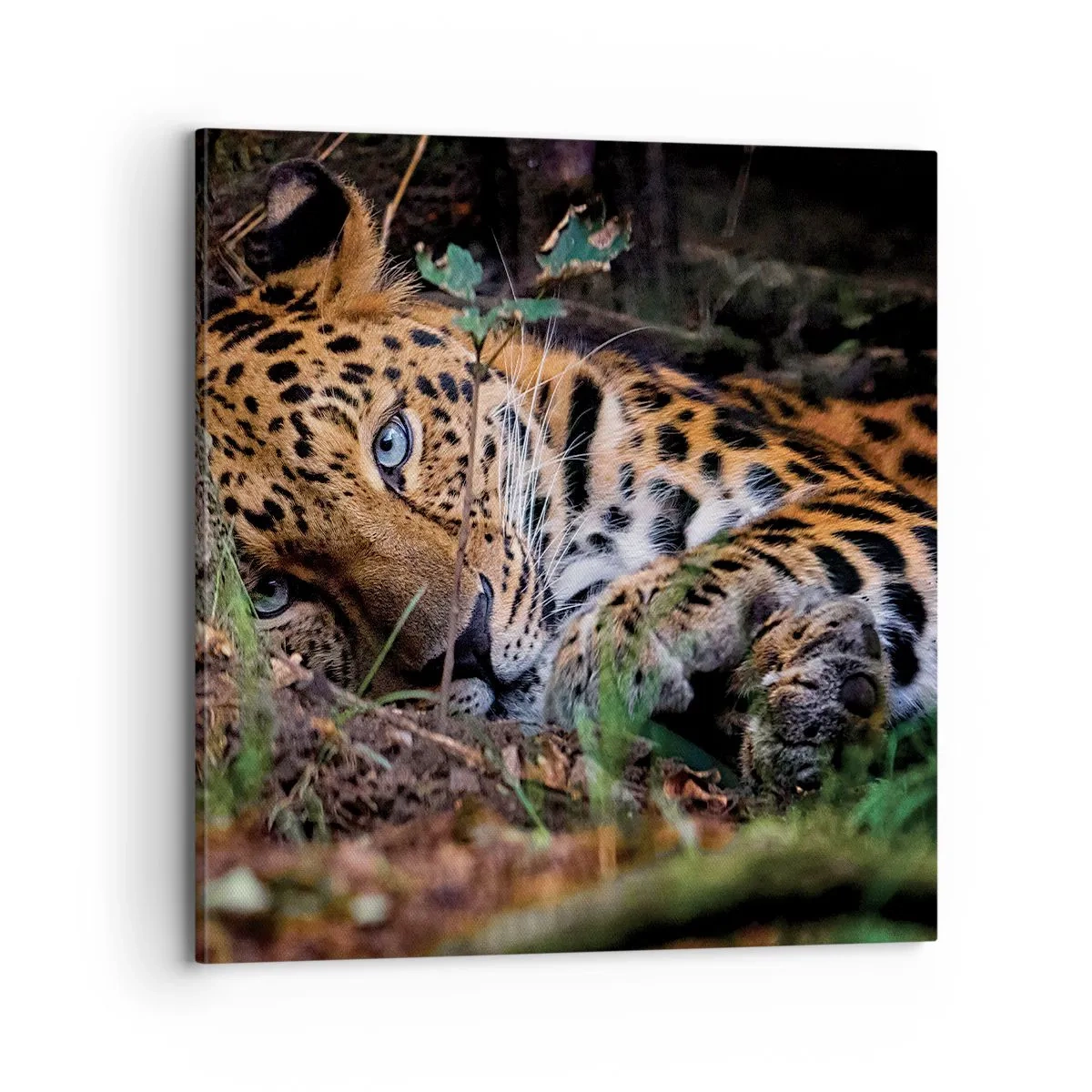 Bild auf Leinwand - Leinwandbild - Vertrau mir - 70x70 cm