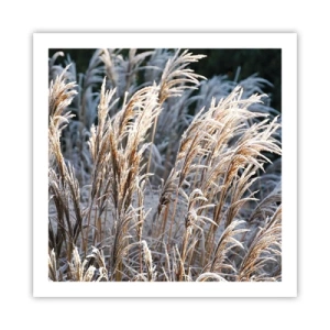 Poster - Gekleidet mit Frost - 60x60 cm