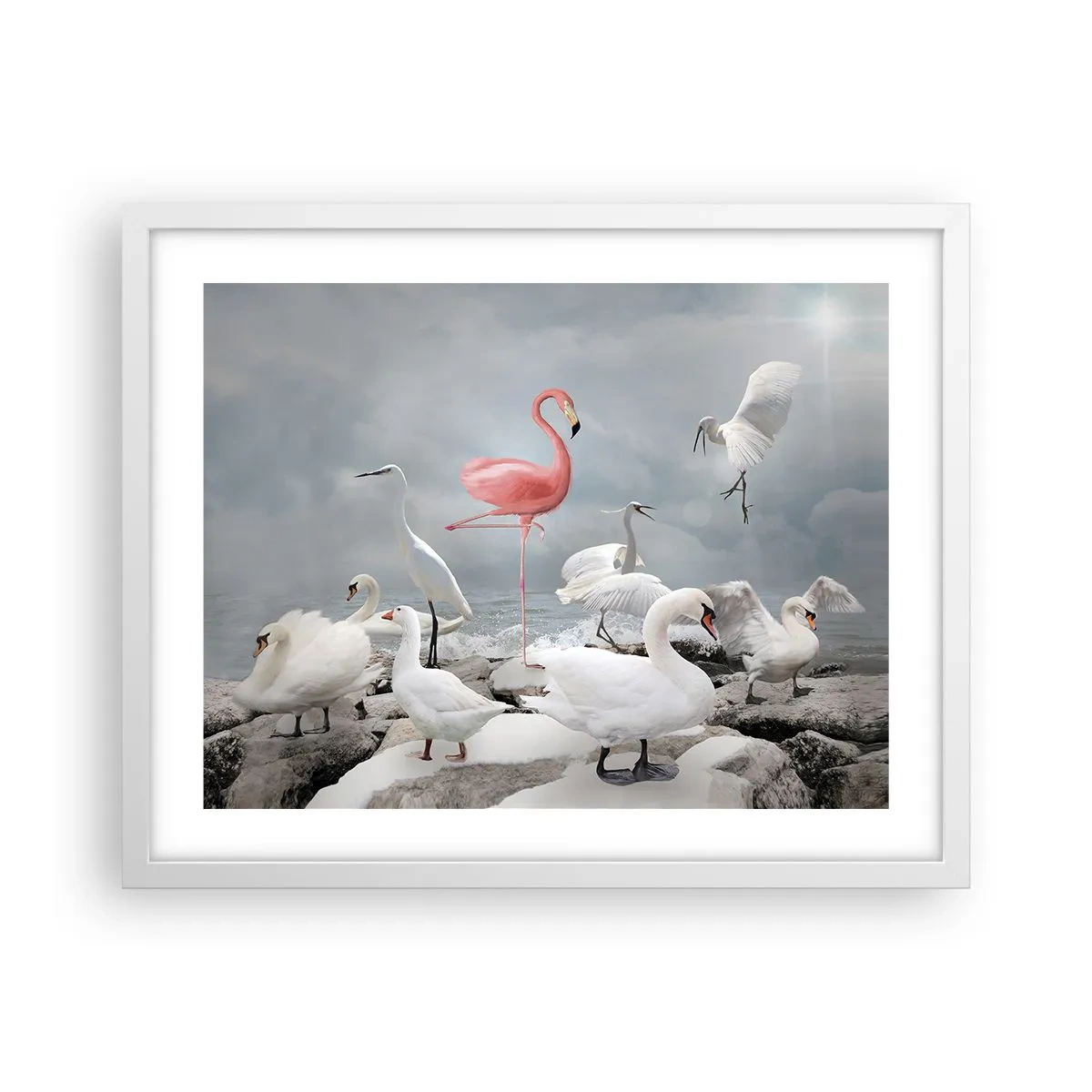 Poster in einem weißen Rahmen - Wie kam ich hier hin? - 50x40 cm