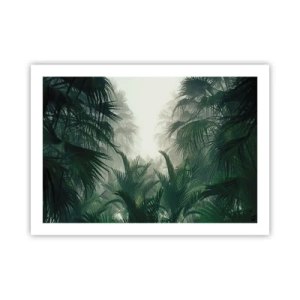 Poster - Tropisches Geheimnis - 70x50 cm