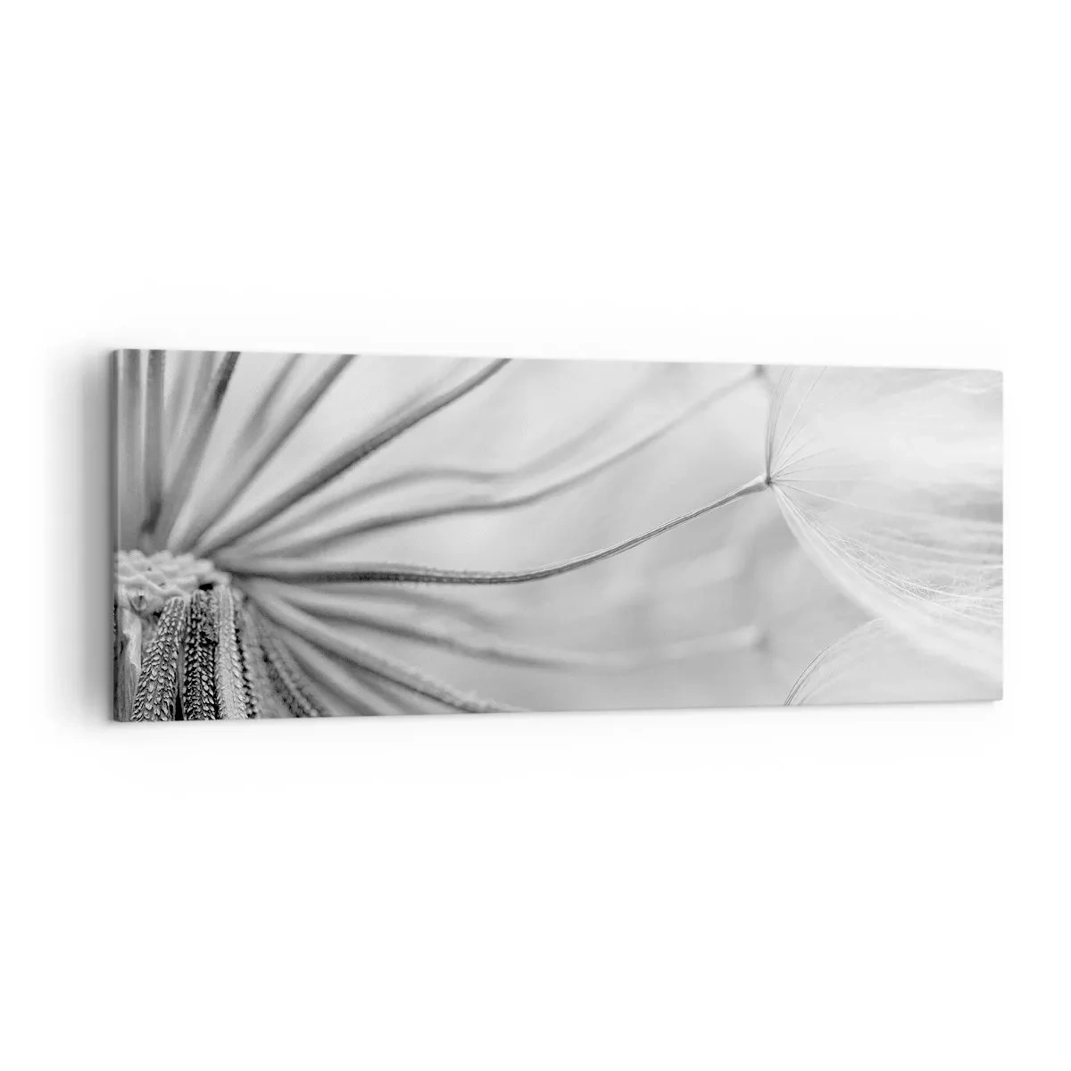 Bild auf Leinwand - Leinwandbild - Zarte Pusteblumen in Schwarz-Weiß-Tönen - 140x50cm - Löwenzahn, Drachen - Moderne Wanddekoration für Wohnzimmer und Schlafzimmer ARTTOR