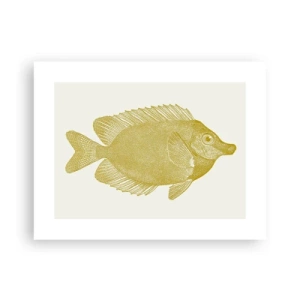Poster - Fisch und das war’s - 40x30 cm