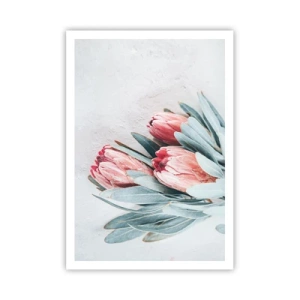 Poster - Schämen sich für ihre eigene Schönheit - 70x100 cm