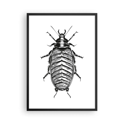 Poster in einem schwarzem Rahmen - Schwarz-Weiß-Illustration eines Insekts im Einzelhandelsstil - 50x70cm - Was für ein Exemplar! - Moderne Wanddekoration für Wohnzimmer und Schlafzimmer ARTTOR