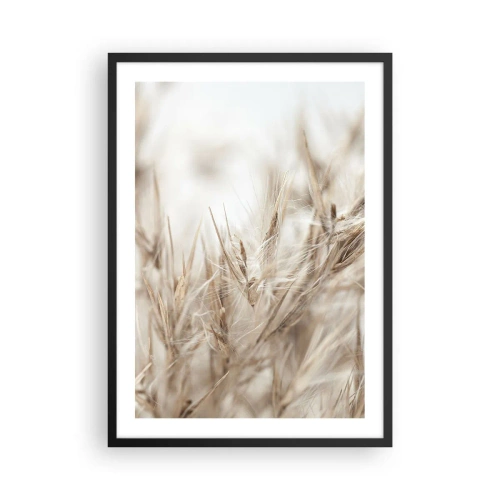 Poster in einem schwarzem Rahmen - Zarte Grashalme in Beige - 50x70cm - Wiese und Wind - Moderne Wanddekoration für Wohnzimmer und Schlafzimmer ARTTOR
