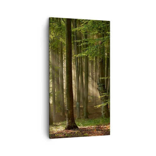 Bild auf Leinwand - Leinwandbild - Strahlend an einem Frühlingsmorgen - 45x80 cm