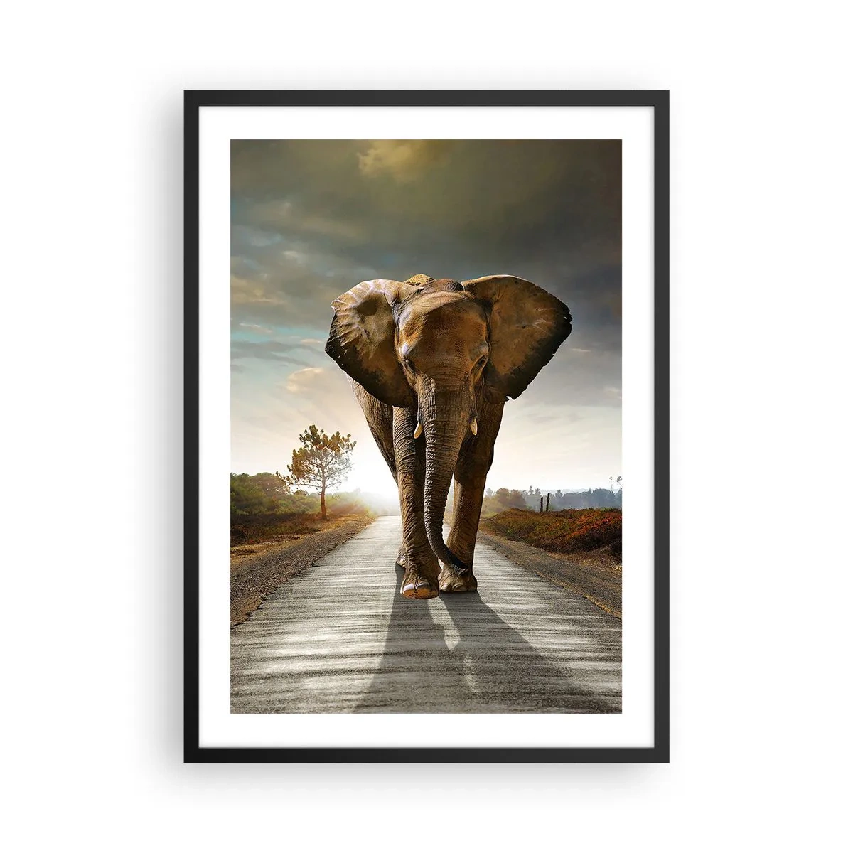 Poster in einem schwarzem Rahmen - Ein Elefant, der bei Sonnenuntergang die Straße entlang läuft - 50x70cm - Und schon gar nicht in einem Porzellanlager - Moderne Wanddekoration für Wohnzimmer und Schlafzimmer ARTTOR