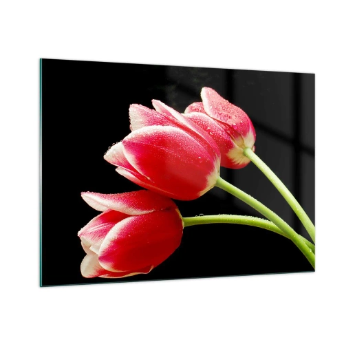 Glasbild - Bild auf glas - Rote Tulpen mit Tautropfen auf schwarzem Hintergrund - 100x70cm - Ein Versprechen der reinen Liebe - Moderne Wanddekoration für Wohnzimmer und Schlafzimmer ARTTOR