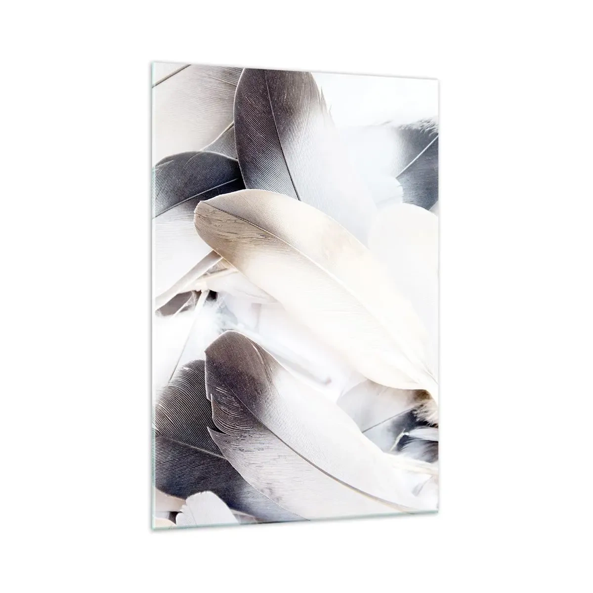 Glasbild - Bild auf glas - Nahaufnahme zarter Federn in Weiß- und Grautönen - 70x100cm - Fast engelhaft - Moderne Wanddekoration für Wohnzimmer und Schlafzimmer ARTTOR