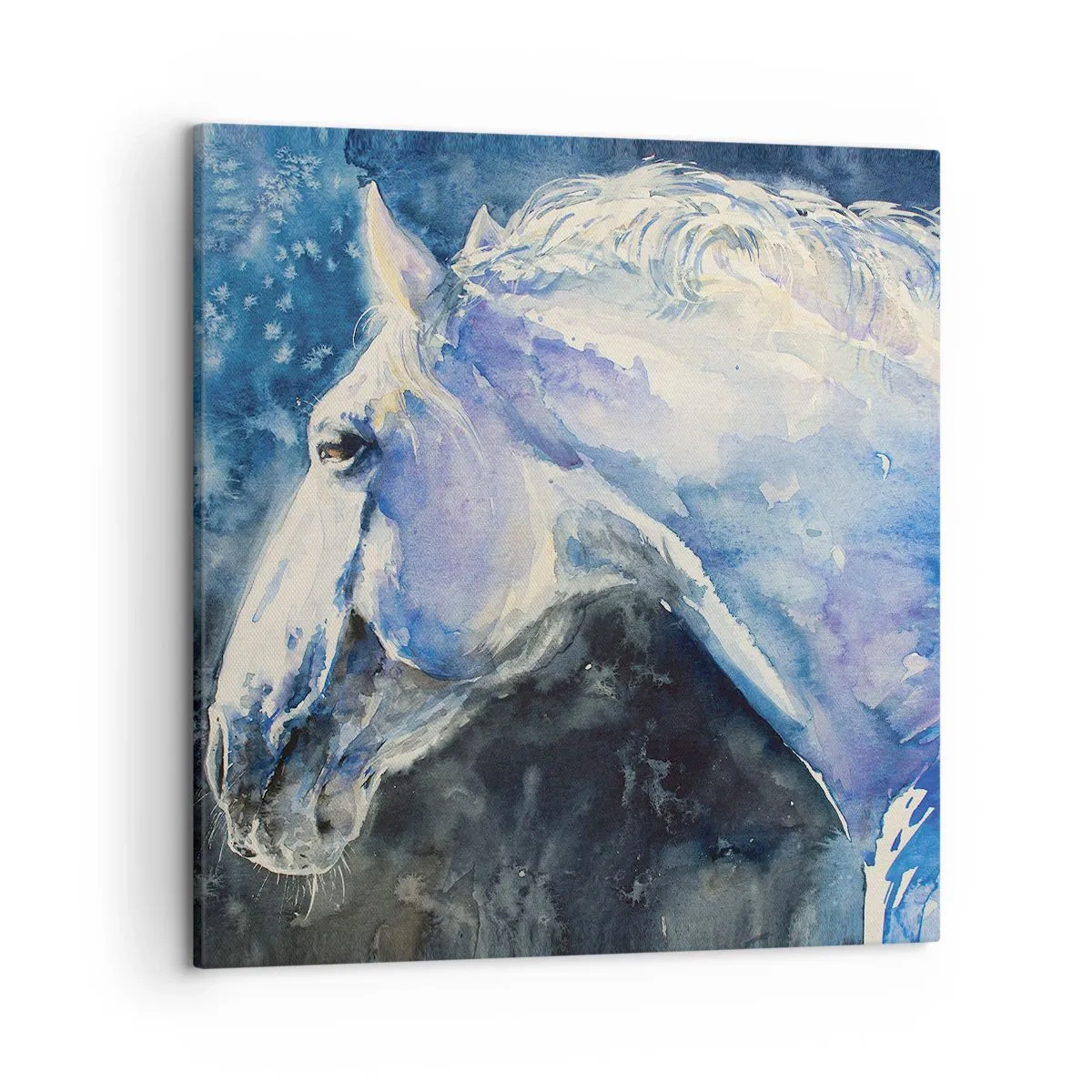 Bild auf Leinwand - Leinwandbild - Porträt in blauem Glanz - 50x50 cm