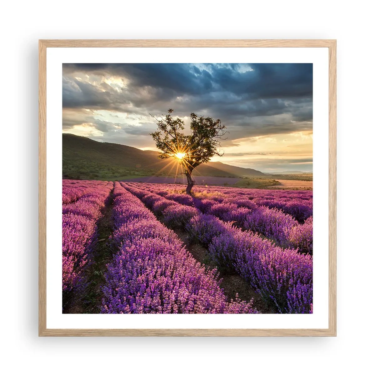 Poster in einem Rahmen aus heller Eiche - Fliederfarbenes Aroma - 60x60 cm