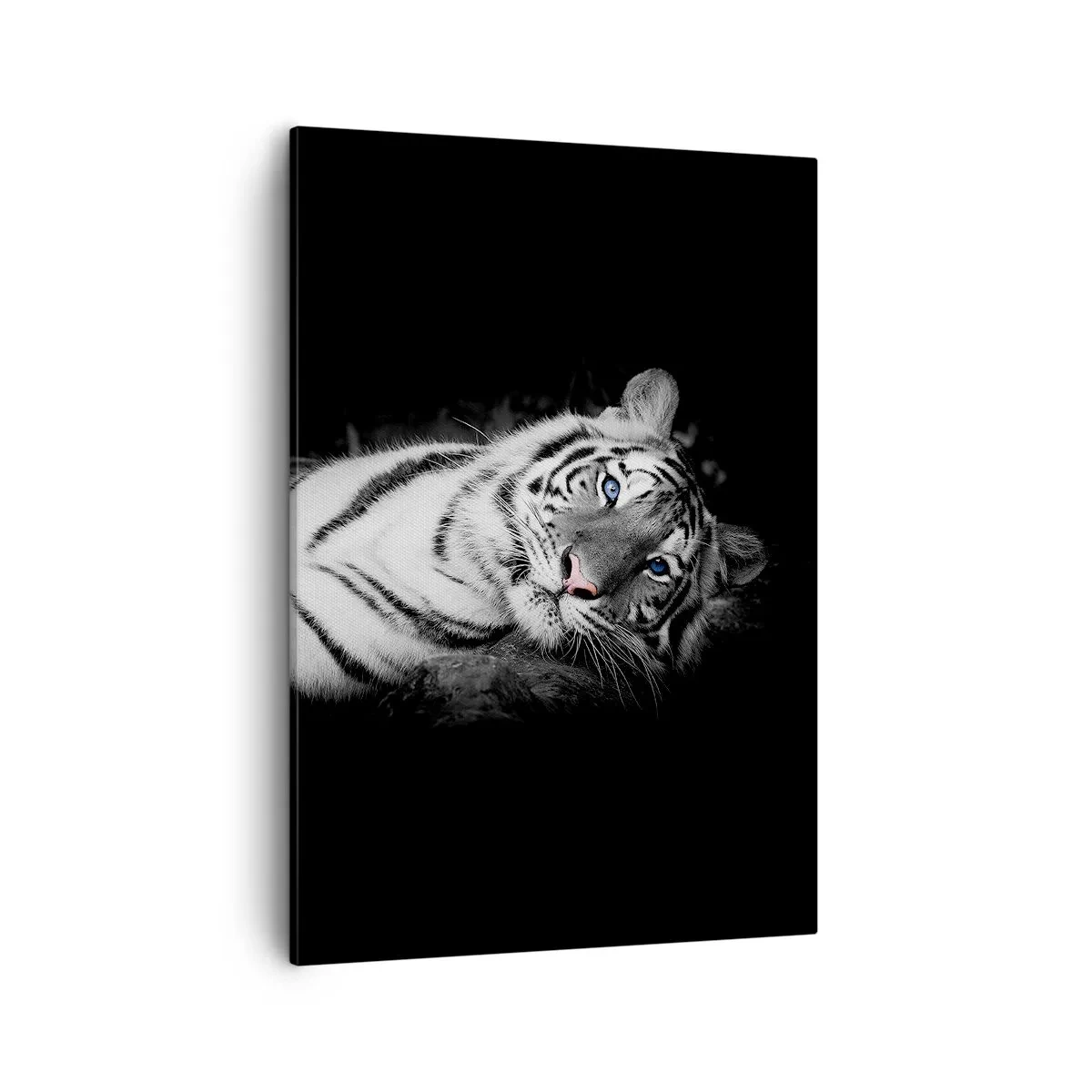 Bild auf Leinwand - Leinwandbild - Ein künstlerisch gestalteter weißer Tiger vor schwarzem Hintergrund - 50x70cm - Wildnis und Frieden - Moderne Wanddekoration für Wohnzimmer und Schlafzimmer ARTTOR