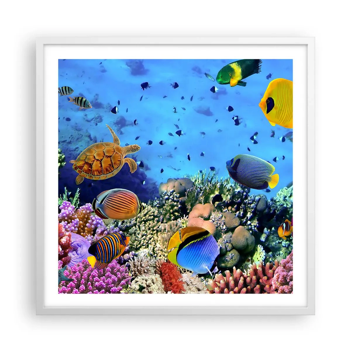 Poster in einem weißen Rahmen - Und was wissen wir über das Leben ... - 60x60 cm