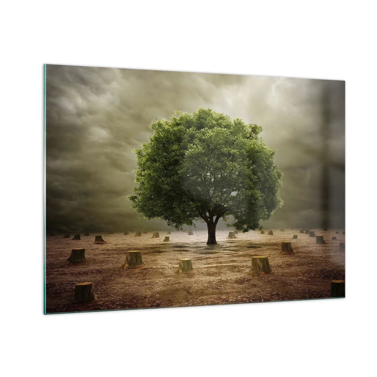 Glasbild - Bild auf glas - Ein grüner Baum, umgeben von Stämmen vor einem düsteren Himmel - 100x70cm - Alle Hoffnung - Moderne Wanddekoration für Wohnzimmer und Schlafzimmer ARTTOR