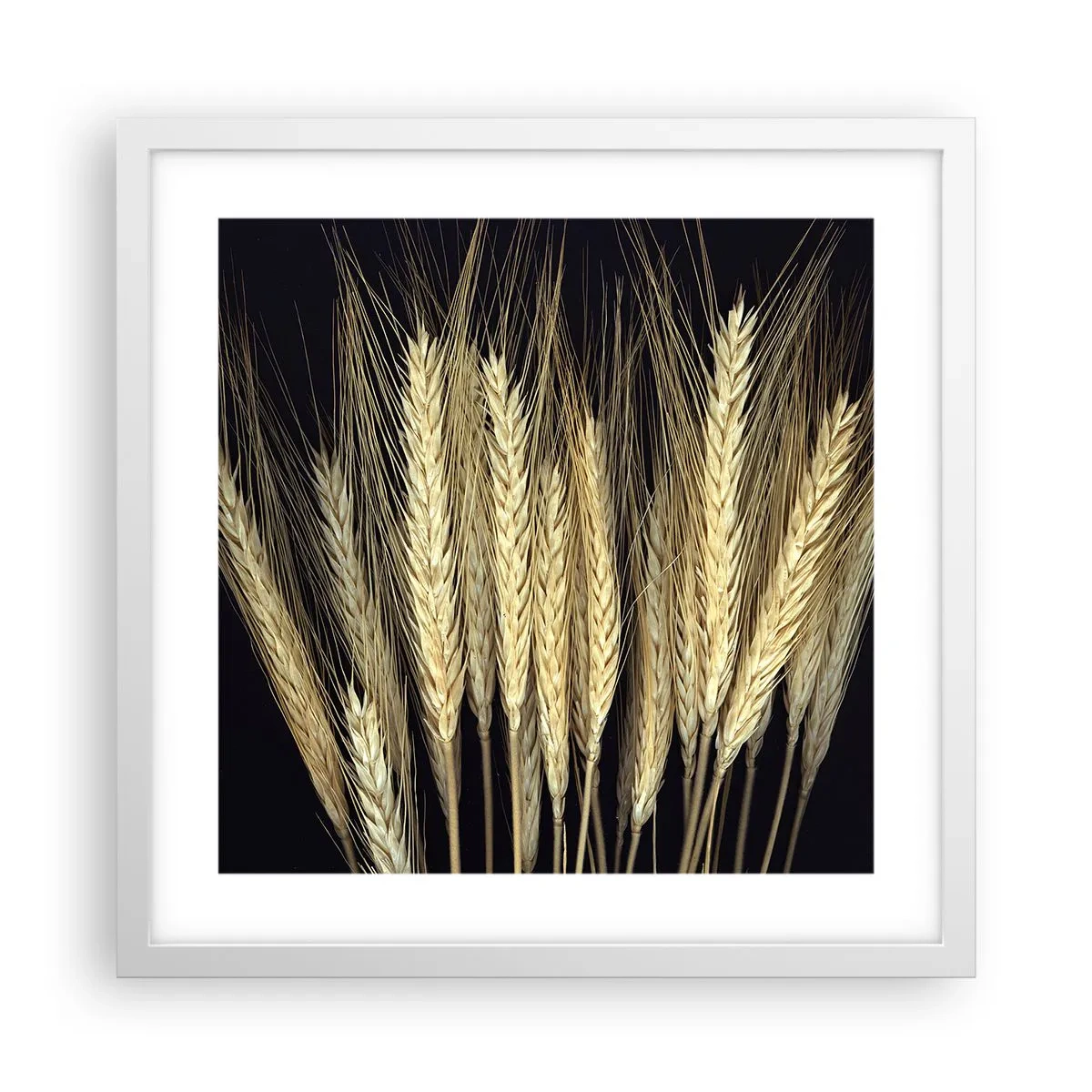 Poster in einem weißen Rahmen - Rustikale Magie - 40x40 cm