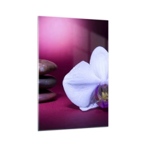Glasbild - Bild auf glas - Weiße Orchidee und Steine auf rosa Hintergrund - 70x100cm - Eine Studie der Frische in Lila - Moderne Wanddekoration für Wohnzimmer und Schlafzimmer ARTTOR