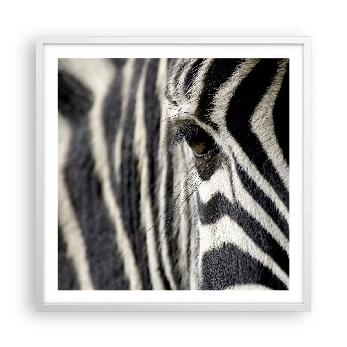 Poster in einem weißen Rahmen - Gestreiftes Porträt - 60x60 cm