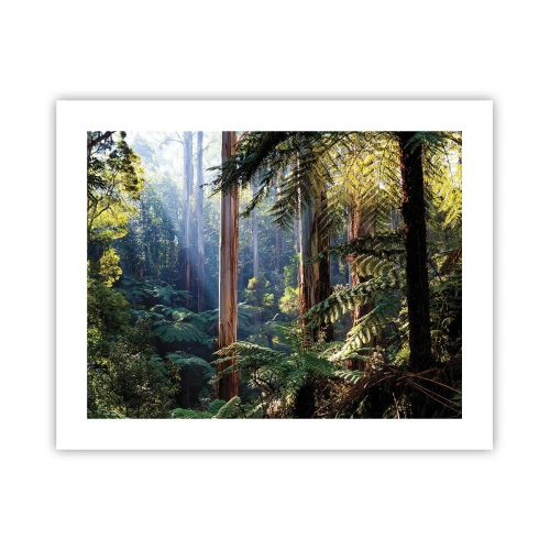 Poster - Ein Waldmärchen - 50x40 cm