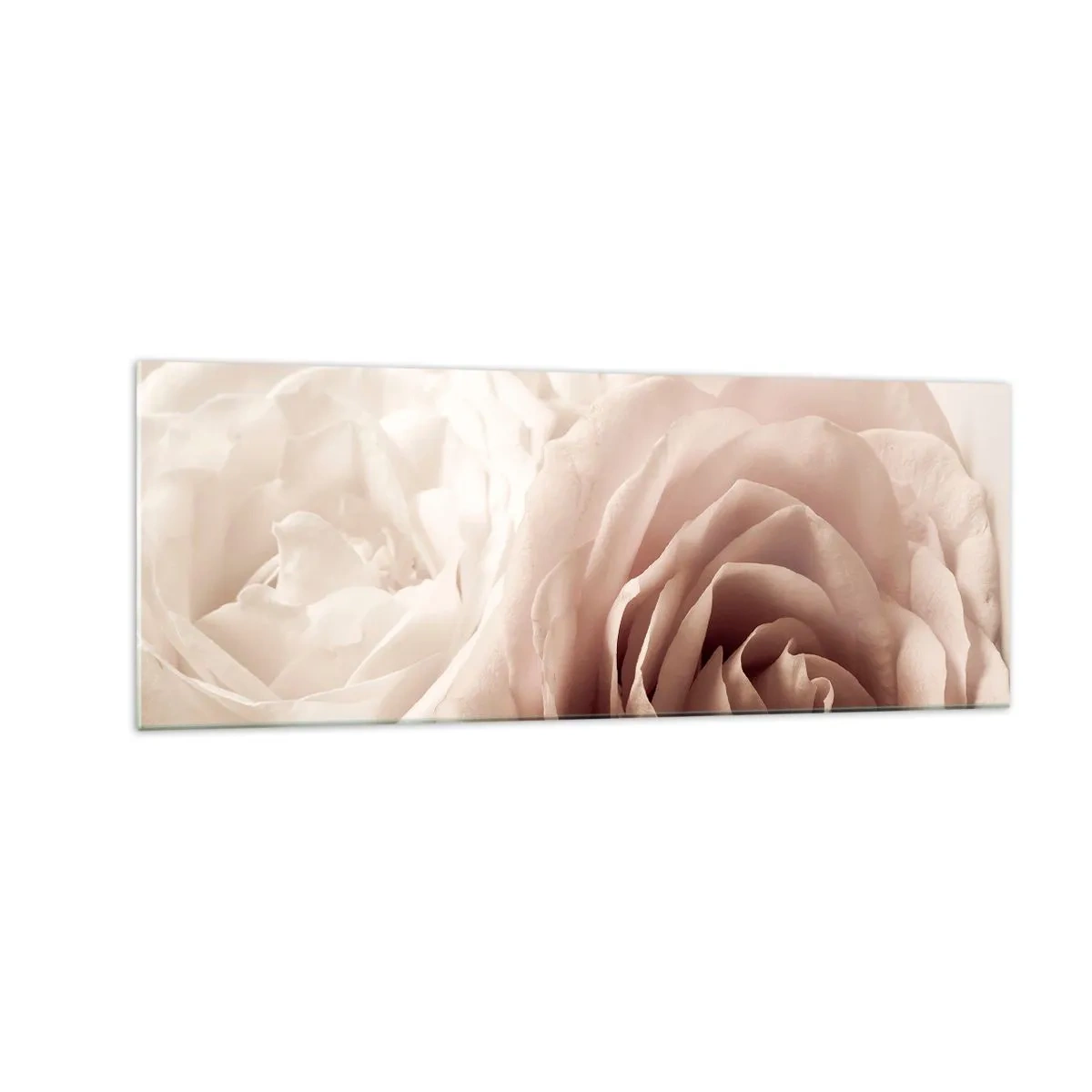 Glasbild - Bild auf glas - Zarte Rosen in pastelligen Beigetönen - 140x50cm - Im Herzen der Rose - Moderne Wanddekoration für Wohnzimmer und Schlafzimmer ARTTOR