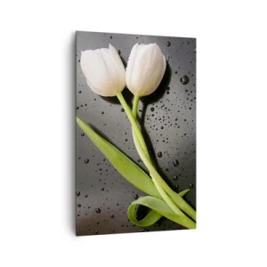 Bild auf Leinwand - Leinwandbild - Weiße Tulpen auf schwarzem Hintergrund mit Wassertropfen - 80x120cm - Frühlingsgewebe - Moderne Wanddekoration für Wohnzimmer und Schlafzimmer ARTTOR