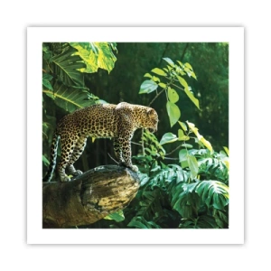 Poster - Auf die Jagd? - 50x50 cm