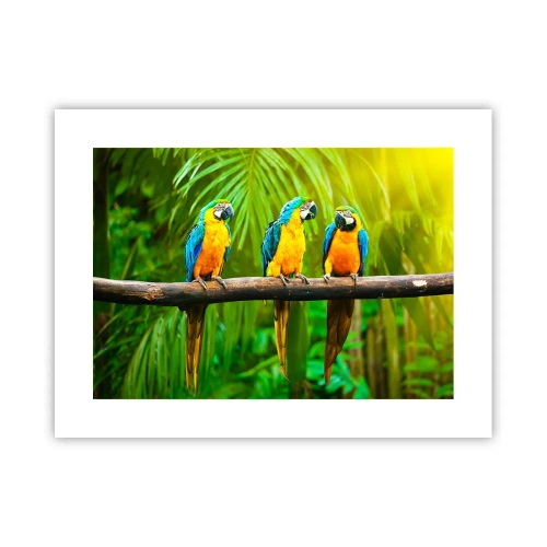 Poster - Und hast du gehört, dass sie ...? - 40x30 cm