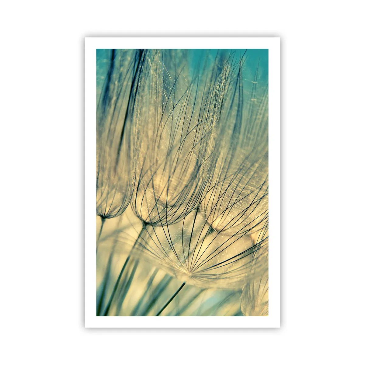 Poster - In Erwartung des Windes - 61x91 cm