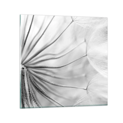 Glasbild - Bild auf glas - Löwenzahn, Drachen - 30x30 cm