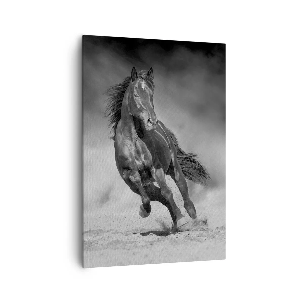 Bild auf Leinwand - Leinwandbild - Ein schwarz-weißes Pferd galoppiert über den Sand - 70x100cm - Würdig des Emirs selbst - Moderne Wanddekoration für Wohnzimmer und Schlafzimmer ARTTOR