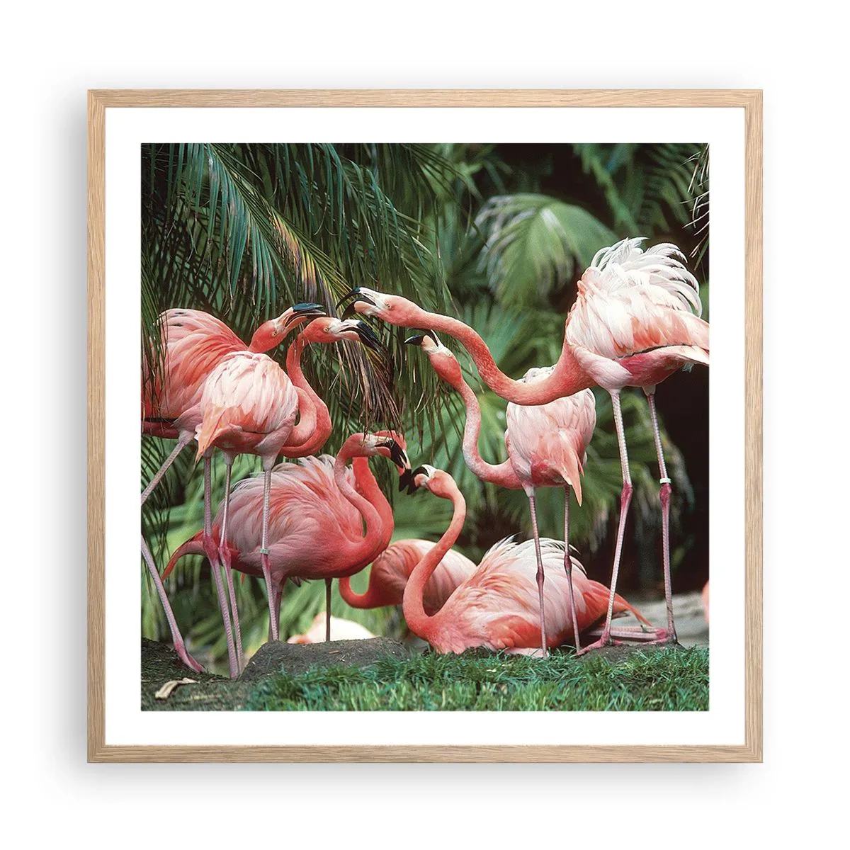 Poster in einem Rahmen aus heller Eiche - Nachmittagsklatsch - 60x60 cm