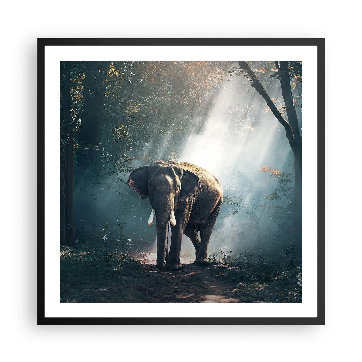 Poster in einem schwarzem Rahmen - Ein gemütlicher Spaziergang - 60x60 cm